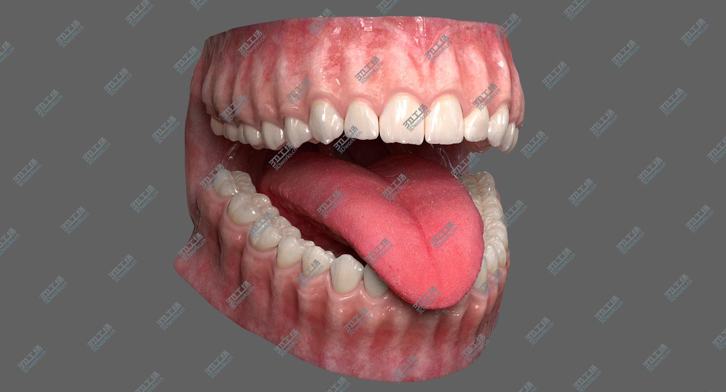 images/goods_img/20210113/Realistic Dental Model With Gums Teeth and Tongue 3D model/5.jpg